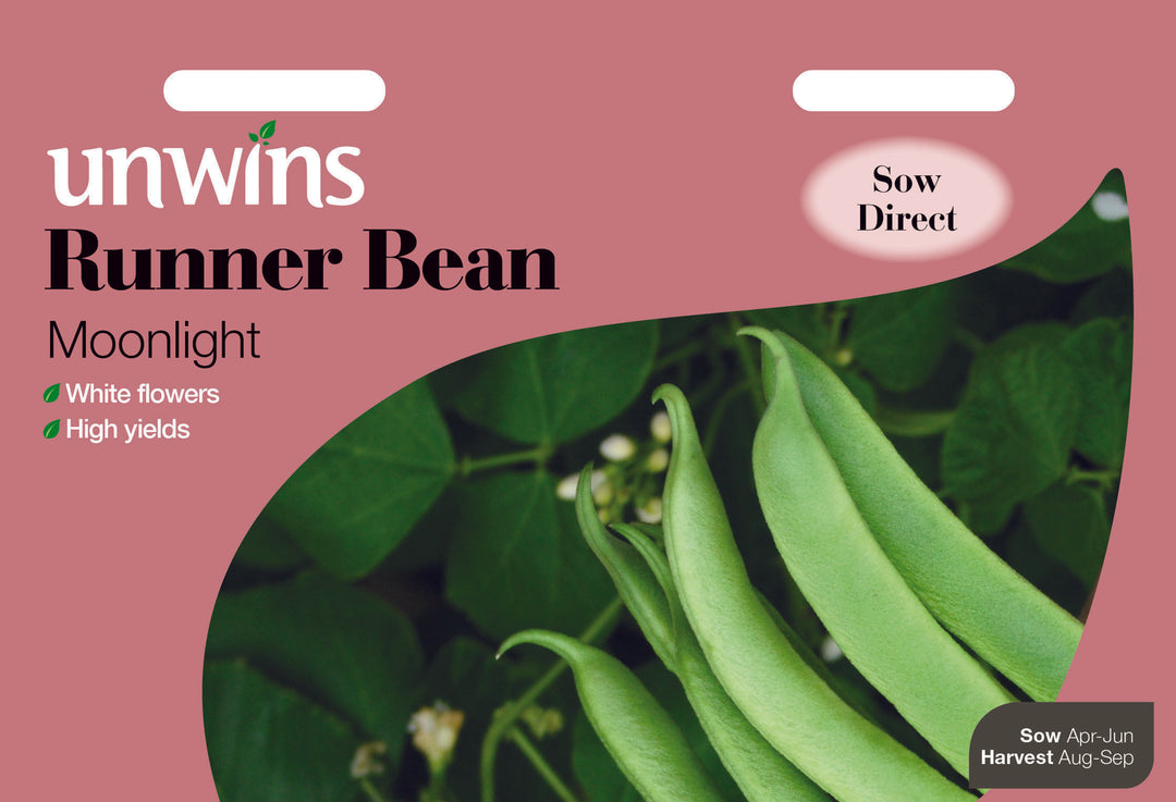 Runner Bean Moonlight