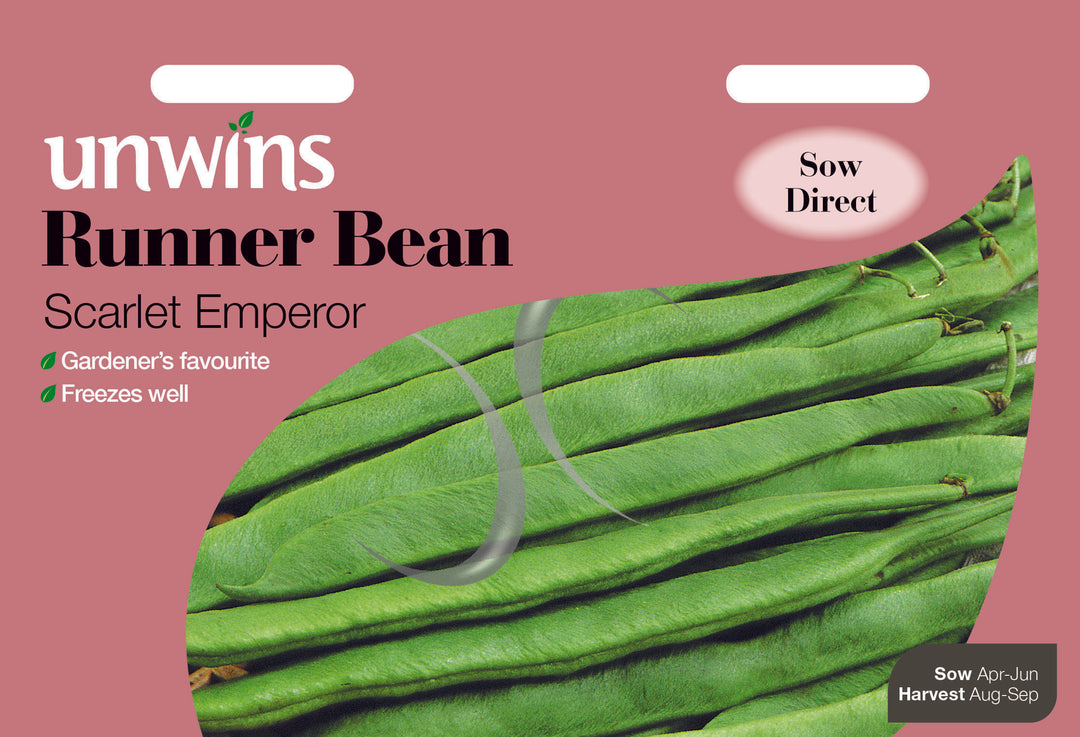 Runner Bean Scarlet Emperor