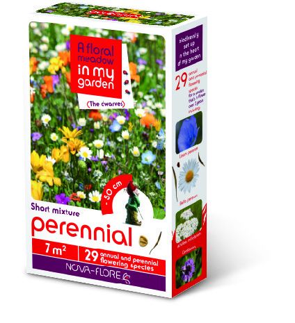 A Floral Meadow - PERENNIAL  7sqm  FLOWER