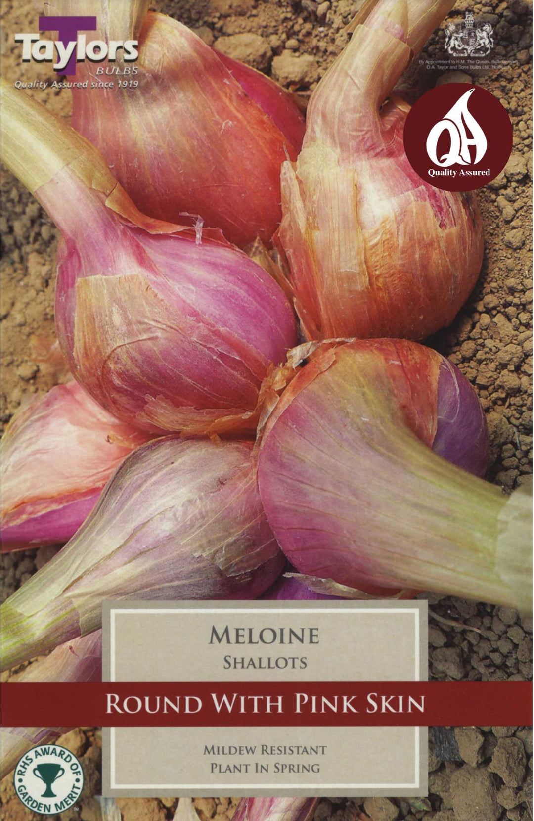 10 SHALLOT FRENCH MELOINE 15-35