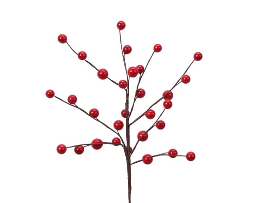 Pick foam foam berries red