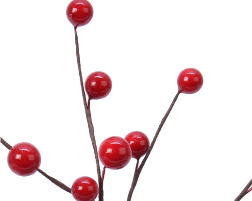 Pick foam foam berries red
