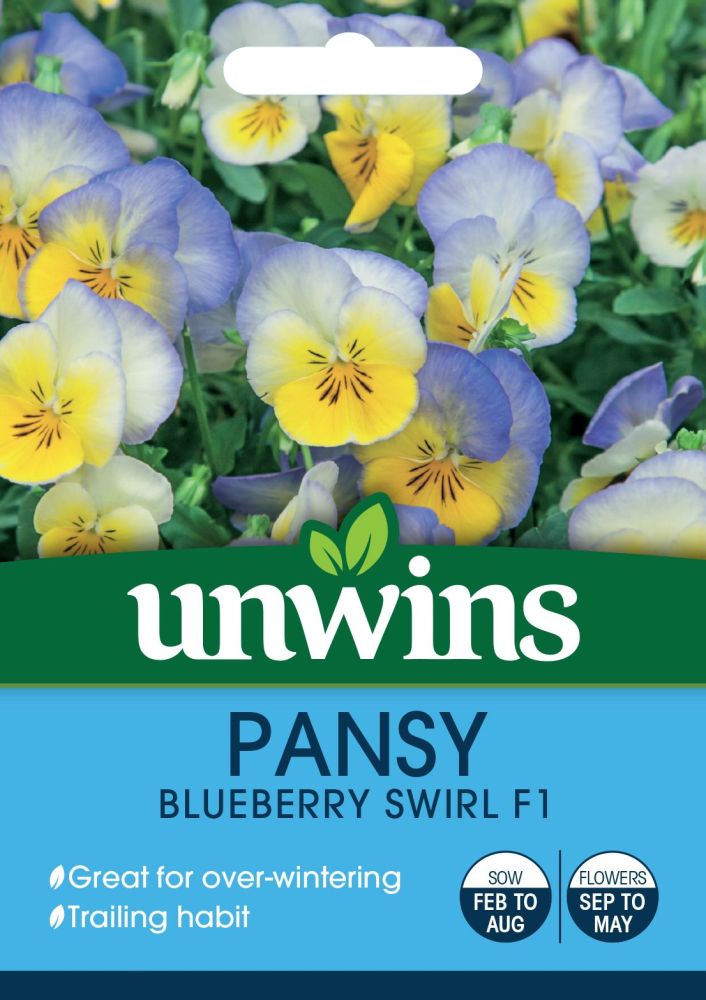 Pansy B-berry Swirl
