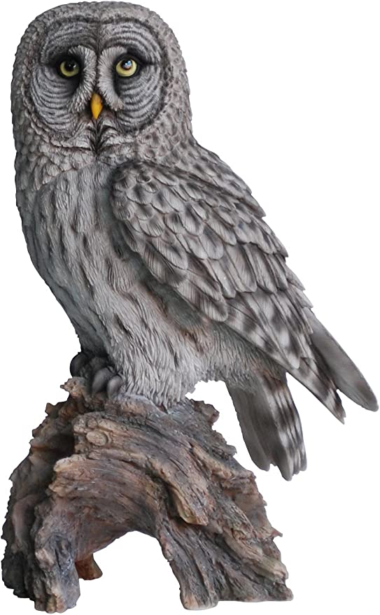 RL Great Grey Owl B Box/2