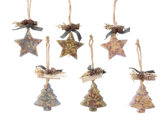Hanger   wax   dried   flowers nature