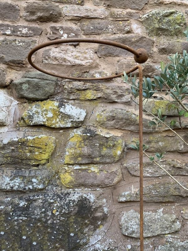 H/D Rust Bunch Supports Small - Tools & Equipment - Windyridge Garden Centre