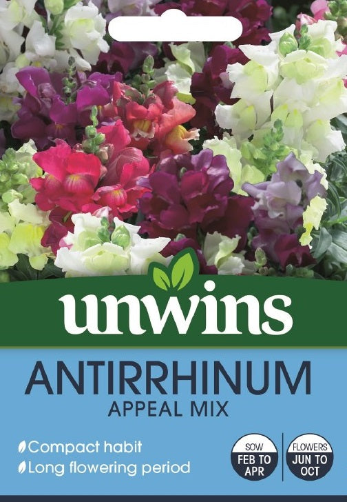 Antirrhinum Appeal Mix