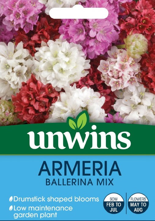 Armeria Ballerina Mix