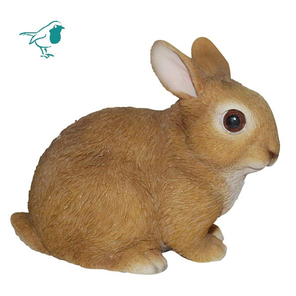 RL Baby Rabbits F – Windyridge Garden Centre