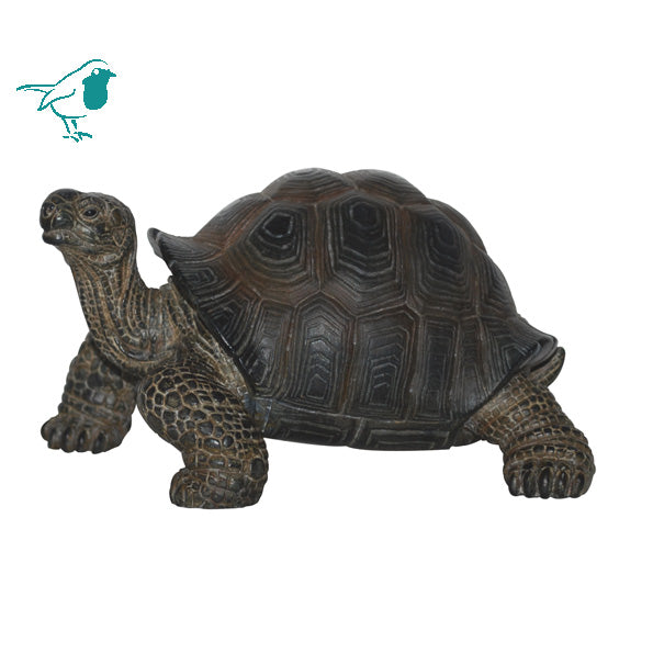 Baby Tortoise Pet Pal F - Ornaments - Windyridge Garden Centre