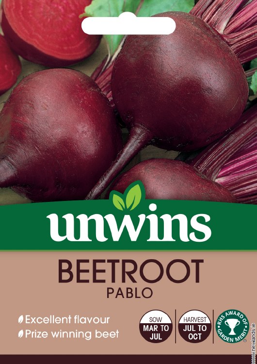 Beetroot Baby Beetroot Pablo