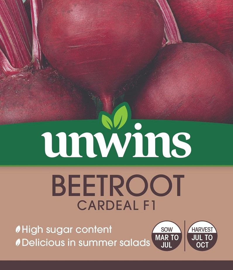 Beetroot (Round) Cardeal F1