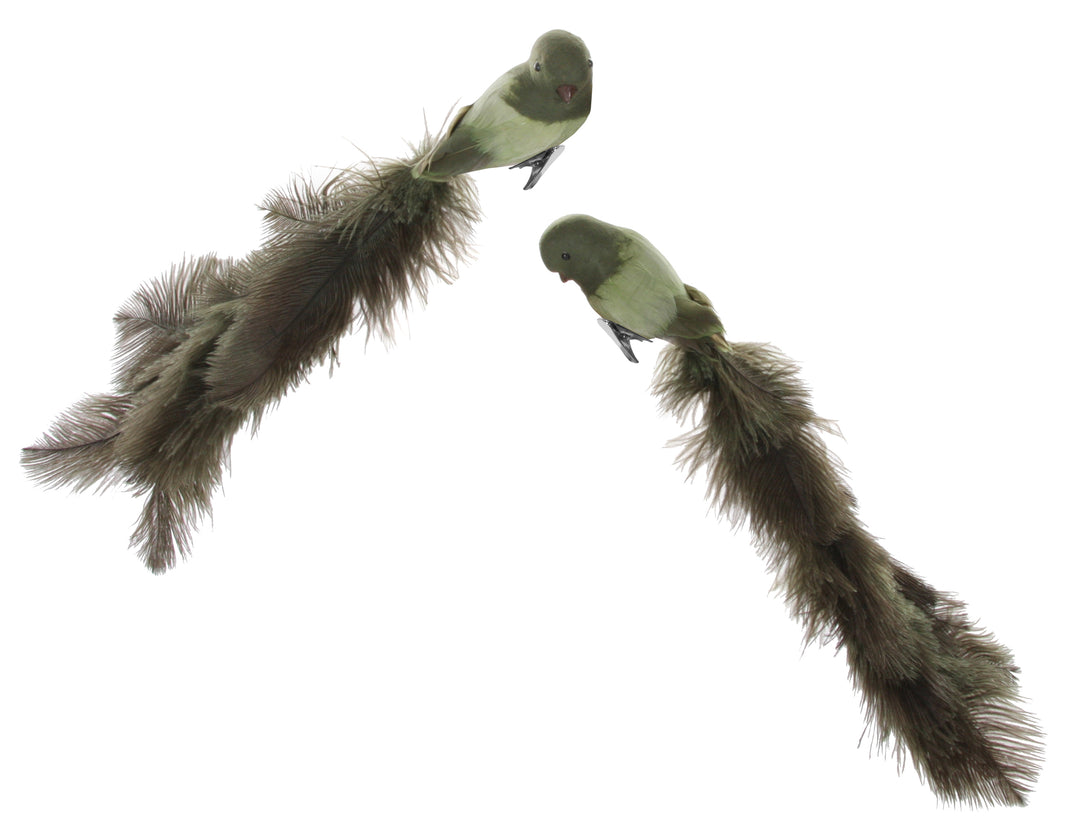 Bird With Clip Green Oistrich Tail - Christmas - Windyridge Garden Centre