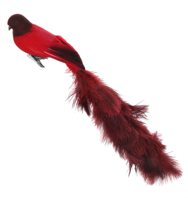 Bird With Clip Red Oistrich Tail - Christmas - Windyridge Garden Centre