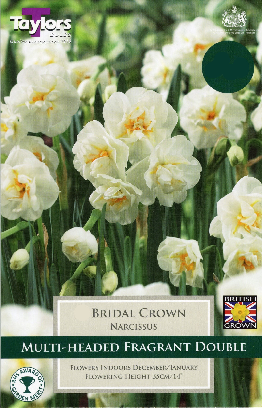 NARCISSI BRIDAL CROWN