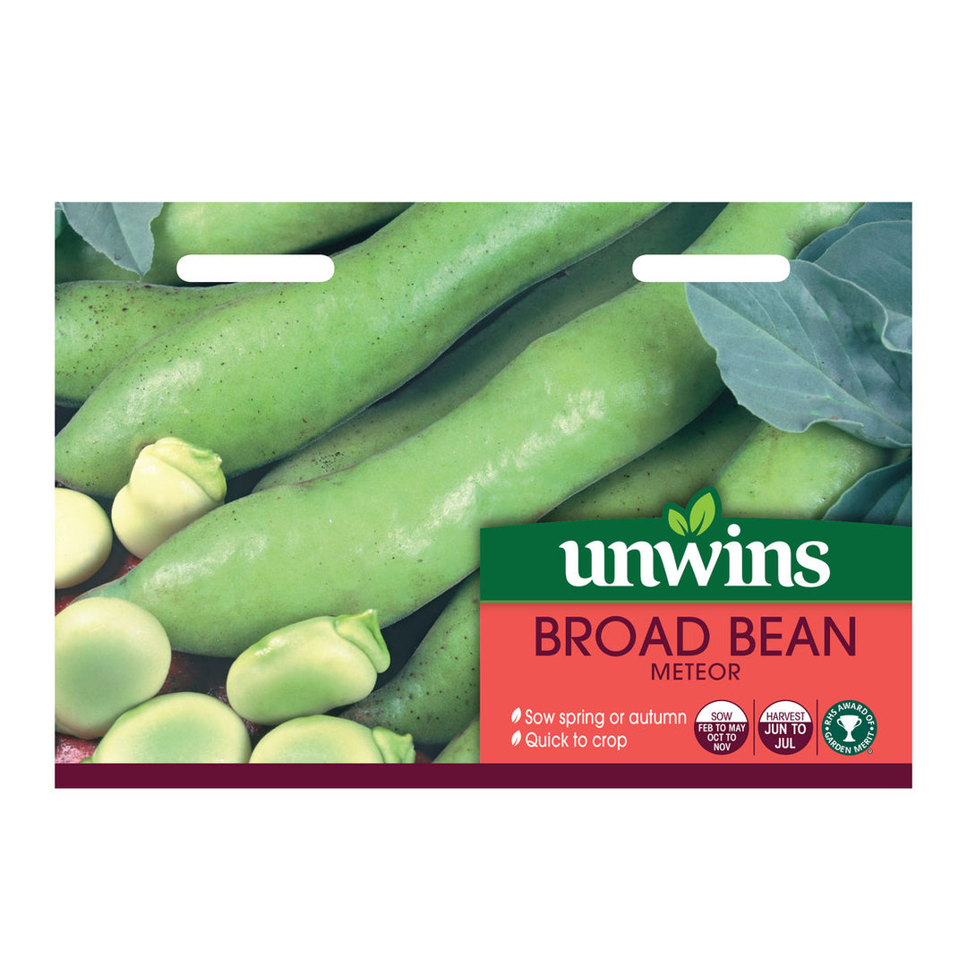 Broad Bean Meteor