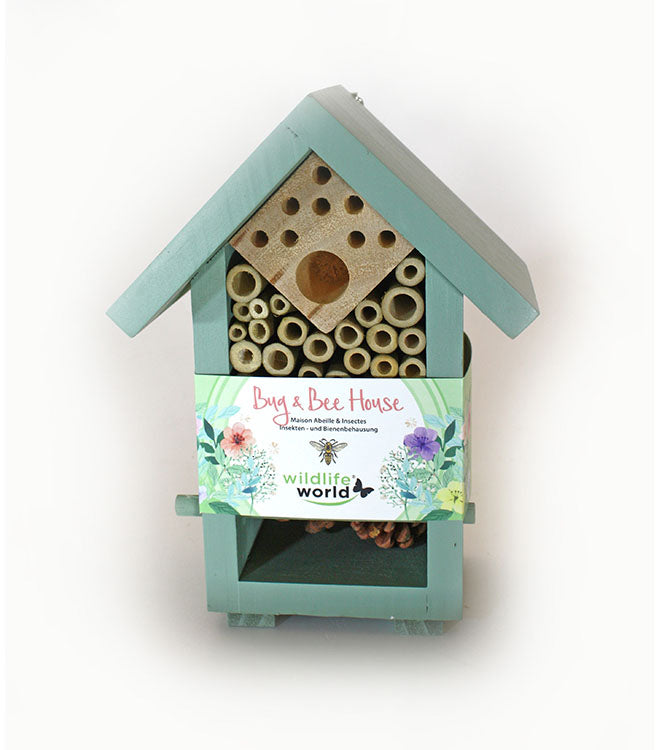 Bug & Bee House