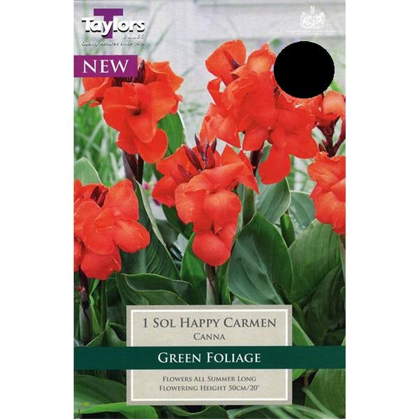 CANNA SOL HAPPY CARMEN X 1