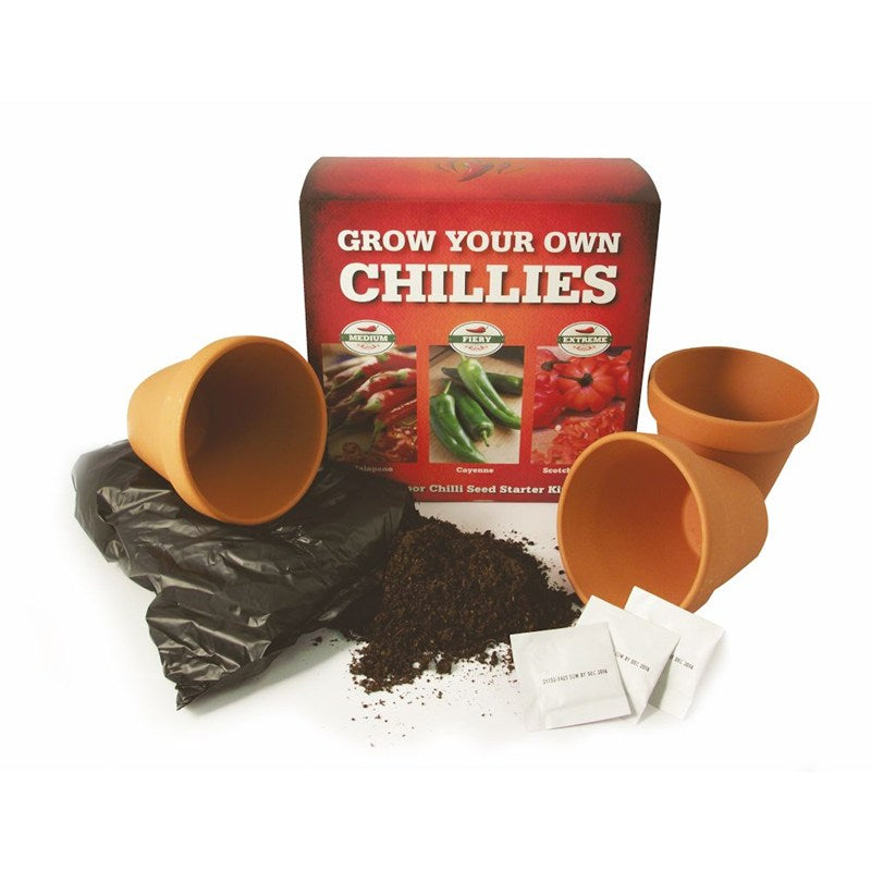 1 Chilli Starter Kit Gift - Bulbs - Windyridge Garden Centre