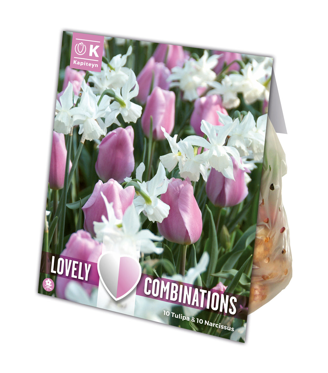 COMBI TULIPA PINK & NARCISSUS WHITE X 15