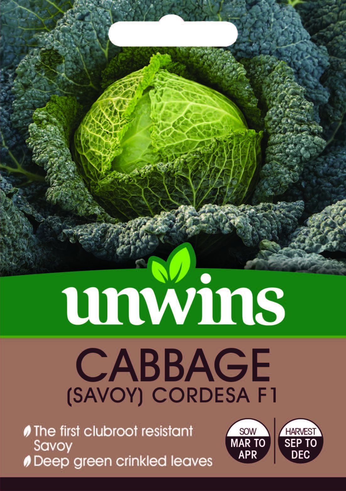 Cabbage Ridges Buy Cabbage (Savoy) Cordesa F1 Online | Windyridge Garden Centre ...
