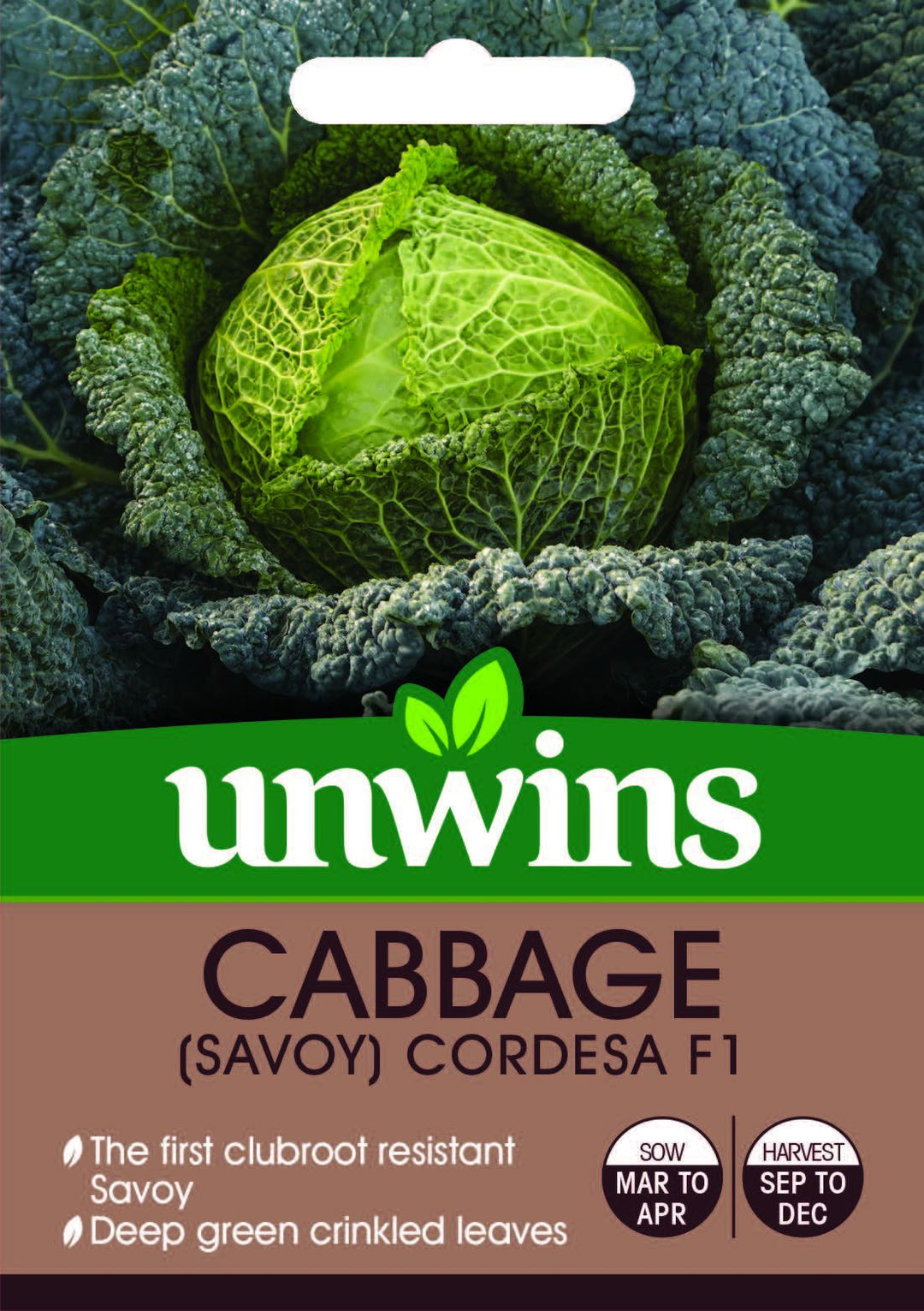 Cabbage (Savoy) Cordesa F1