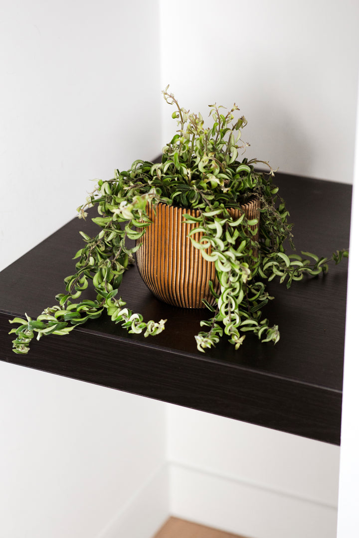 Planter Ball Groove Pot Black Gold Ø23cm H21cm