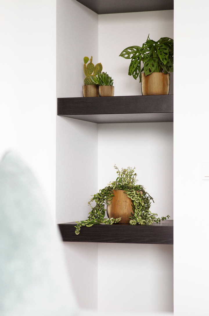 Planter Ball Groove Pot Black Gold Ø23cm H21cm