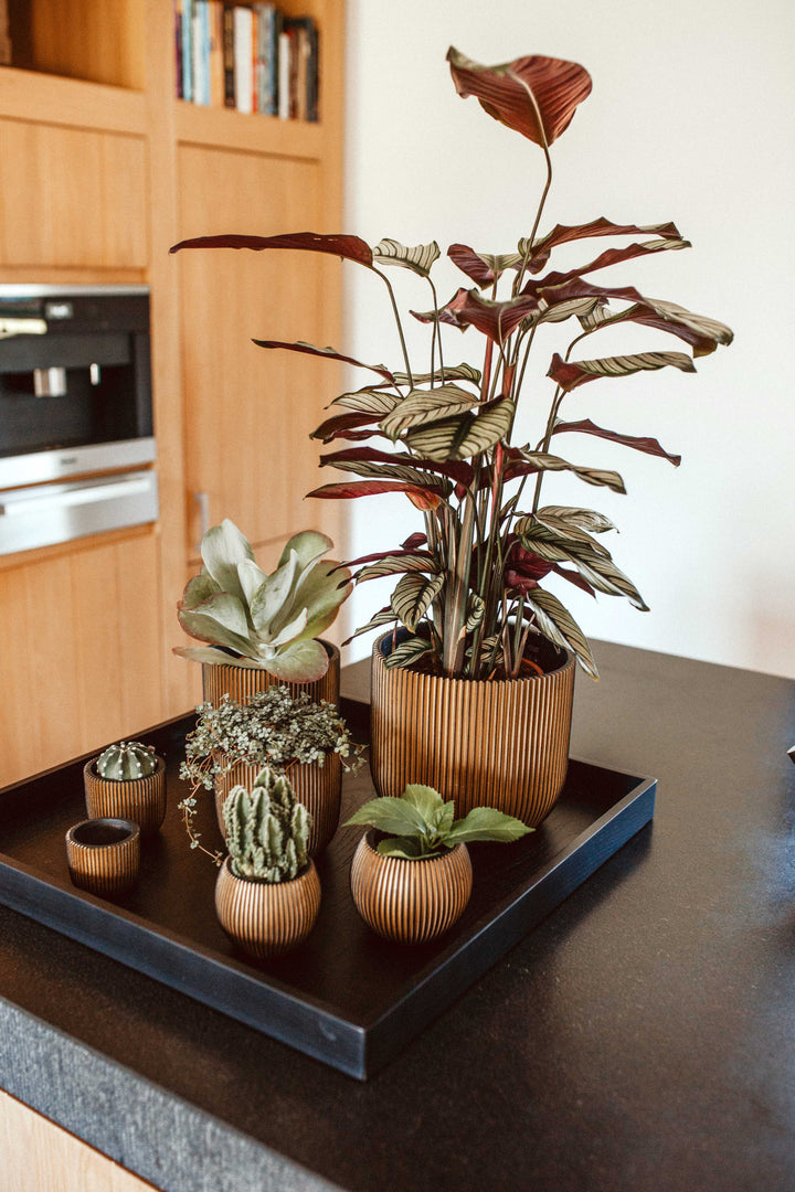 Vase Ball Groove Indoor Pot Ø21cm H19cm Black and Gold