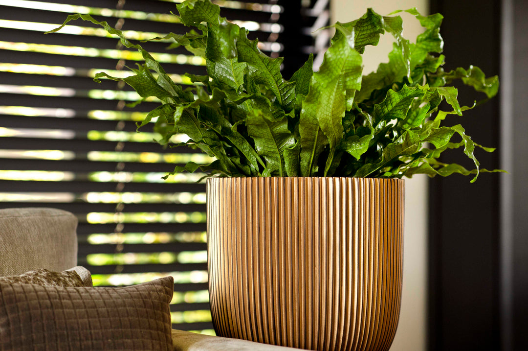 Planter ball Groove Black Gold Ø33 x 35