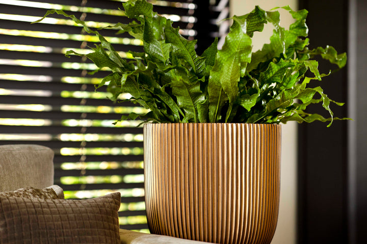Planter ball Groove Black Gold Ø33 x 35