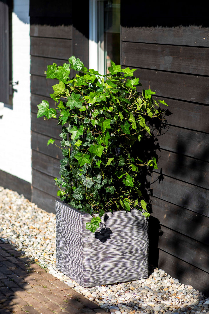 Planter Square Rib  NL Anthracite 40cm H40cm W40cm