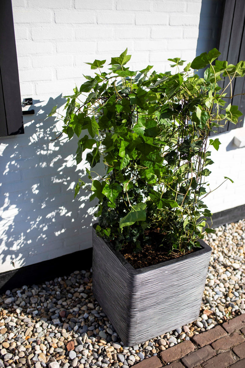 Planter square Rib NL Anthracite 30x30x30