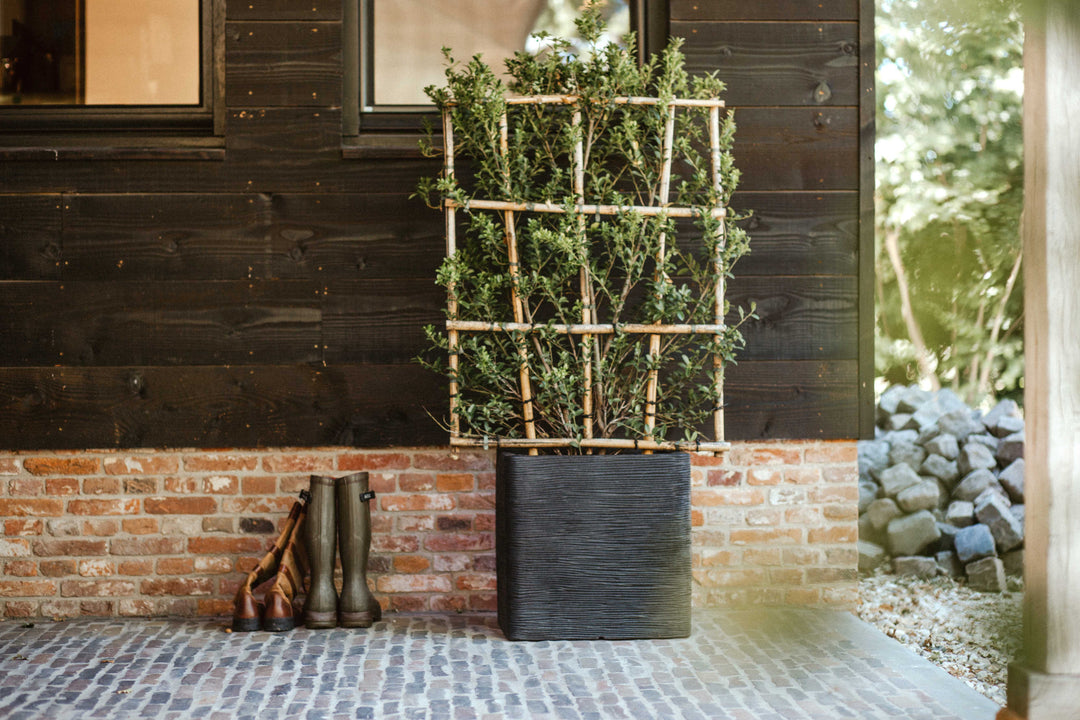 Planter Square Rib  NL Black 50cm H50cm W50cm