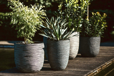 Planter ball Rib anthracite NL 55x53