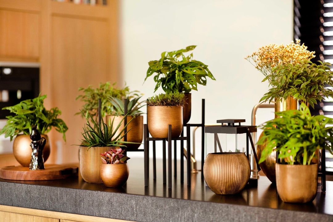 Vase Ball Groove Indoor Pot Ø10cm H9cm Black and Gold