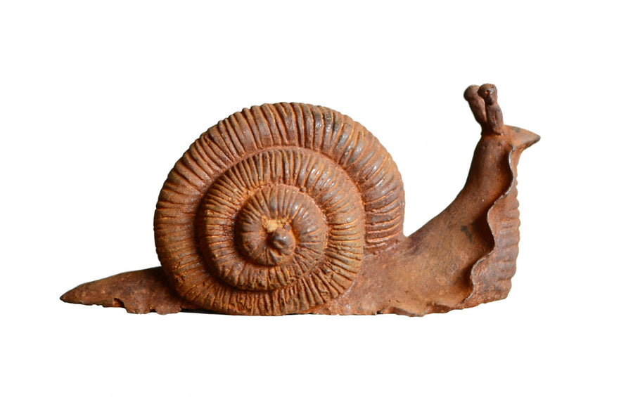 Cast Iron Snail - Garden Ornaments - Windyridge Garden Centre