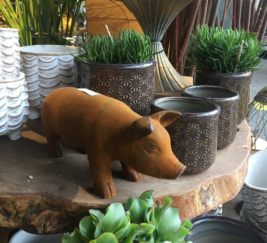 Cast Iron Piglet - Garden Ornaments - Windyridge Garden Centre