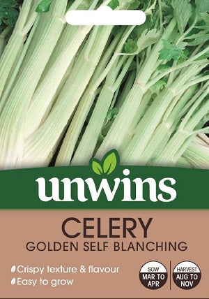 Celery Golden Self Blanching