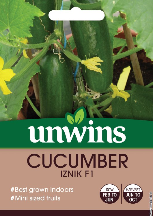 Cucumber Iznik F1