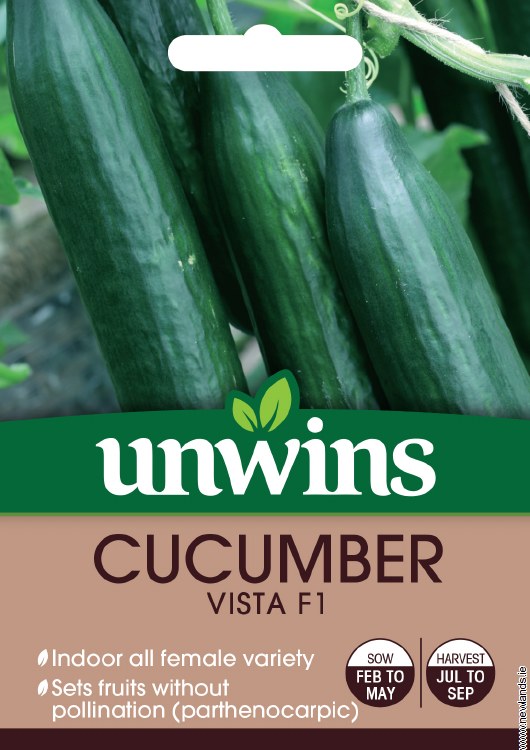 Cucumber Vista F1 (Recommended)