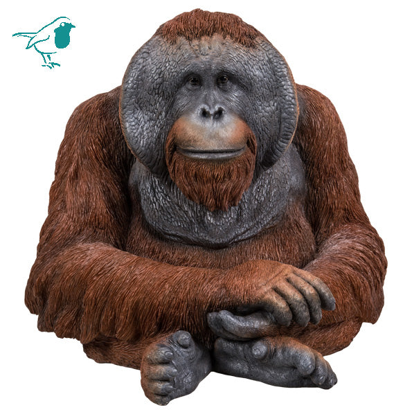 Rl Orangutan A - Vivid Arts - Windyridge Garden Centre
