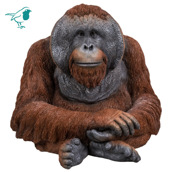 RL Orangutan D
