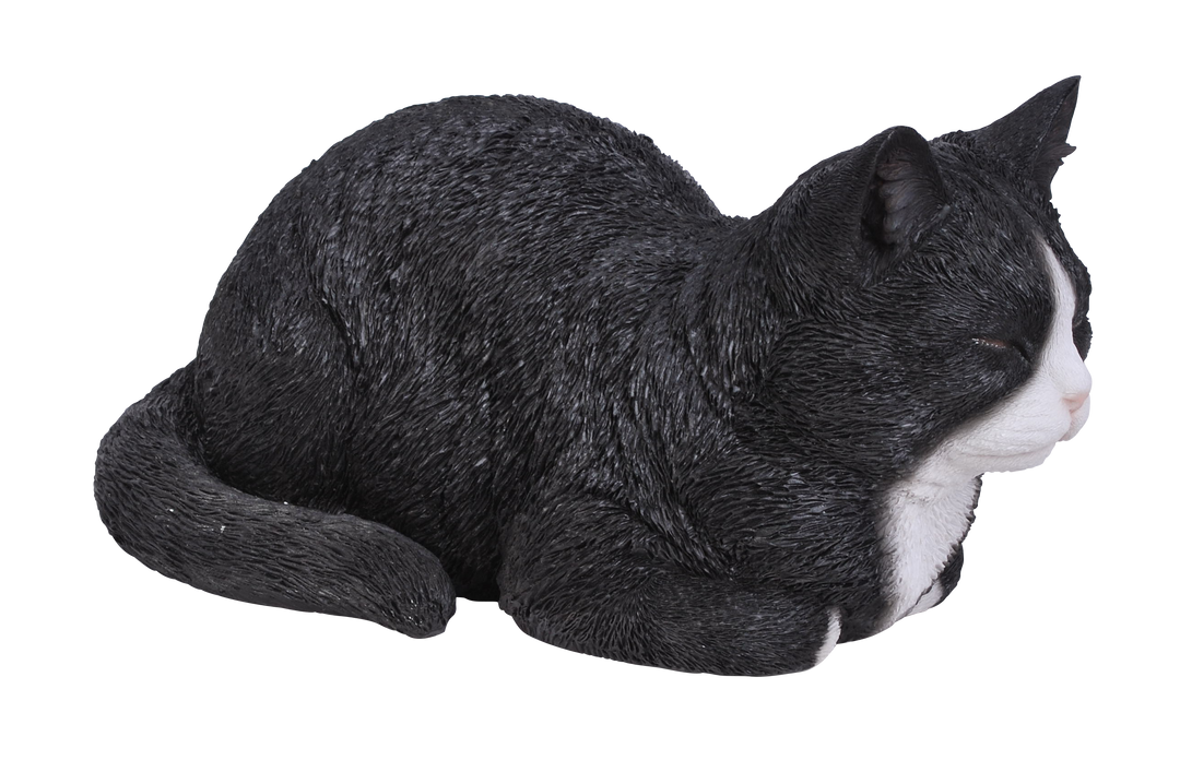 RL Dreaming Cat BK/WHT B x 1 - Vivid Arts - Windyridge Garden Centre