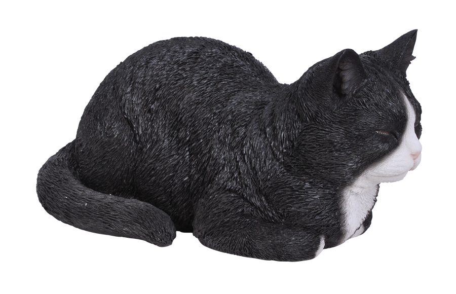 RL Dreaming Cat BK/WHT B x 1 - Vivid Arts - Windyridge Garden Centre