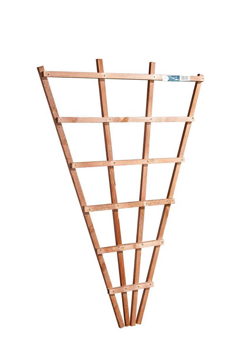 Fan trellis 3x2ft