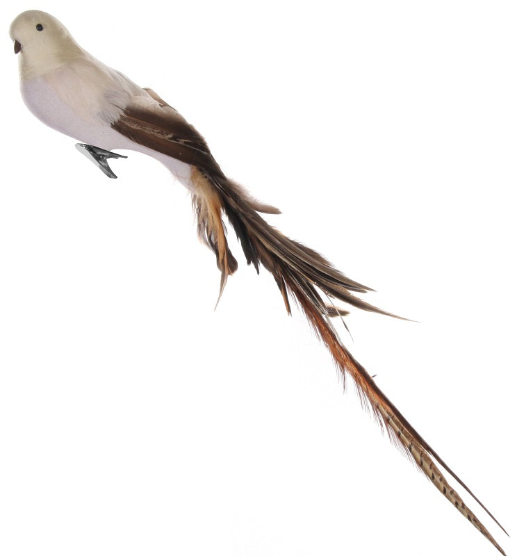 Feather bird beige brown tail 55cm
