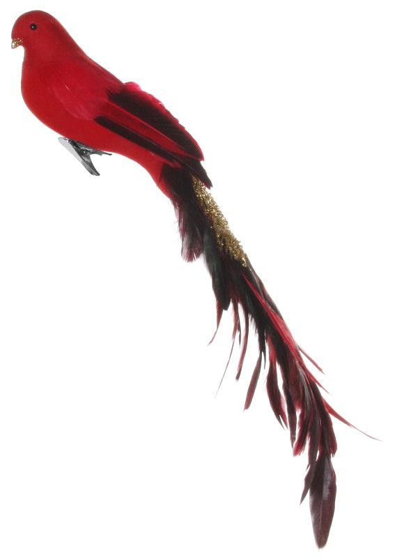 Feather Bird Glitter Tail Red - Christmas - Windyridge Garden Centre