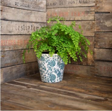 Floral Pot Green