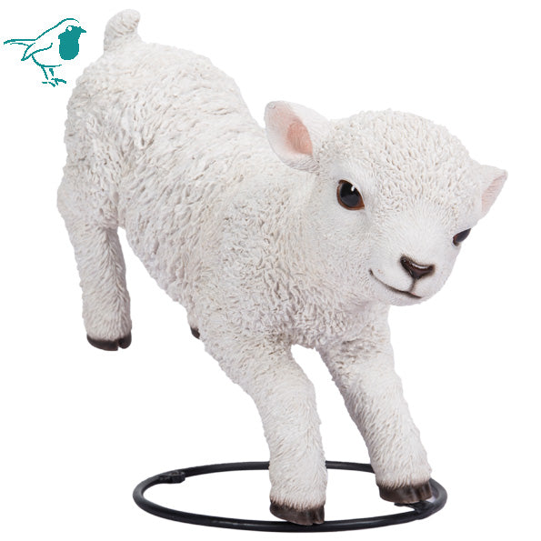 Frolicking Lamb B - Vivid Arts - Windyridge Garden Centre